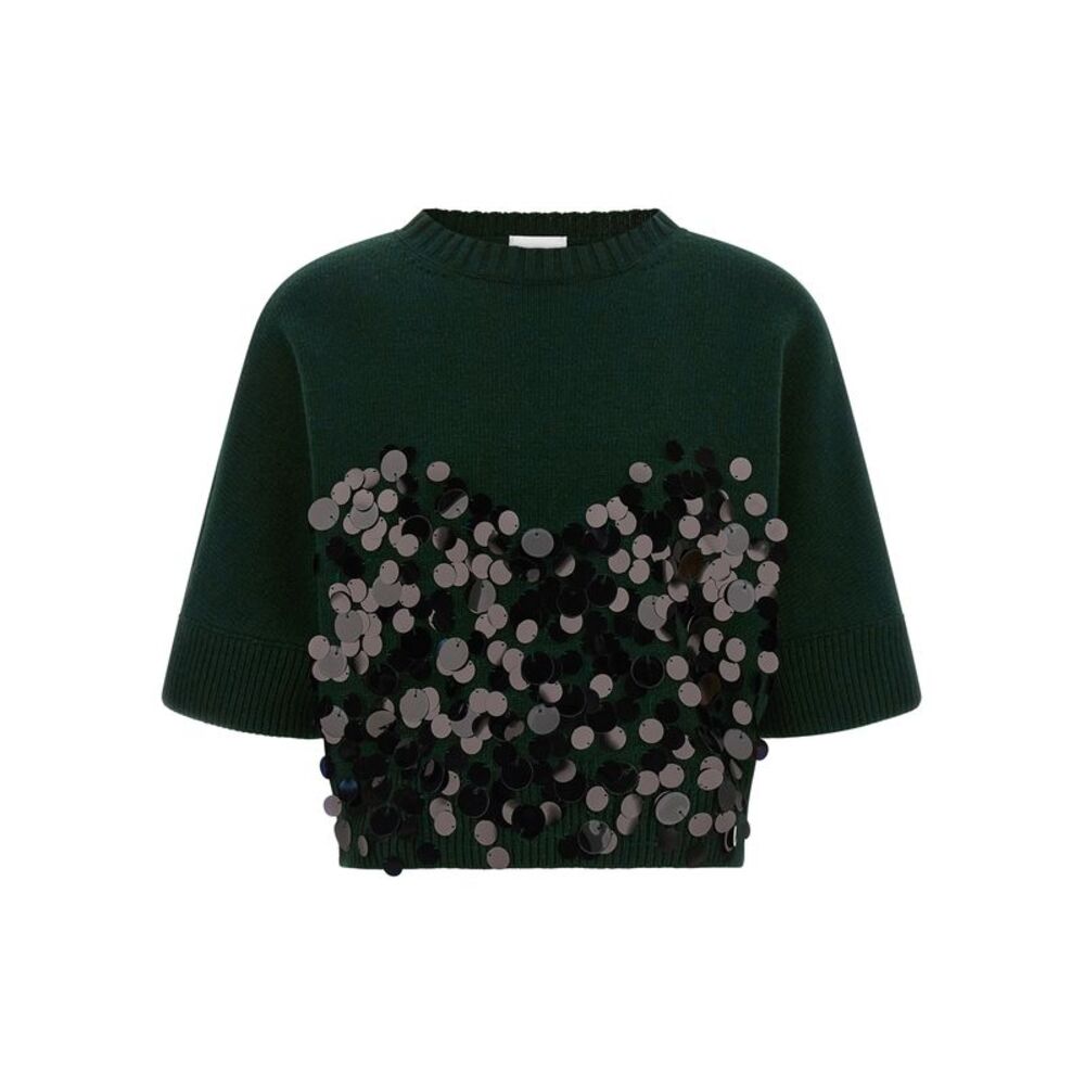 Nude Women Sequin Cropped Sweater